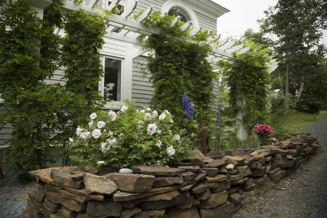 Star Of The Sea B&B Halifax Eksteriør billede